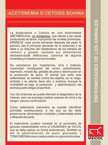 Coadyuvantes en la perdida de peso